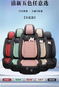 新款全包招财系列全皮/皮冰丝汽车坐垫四季